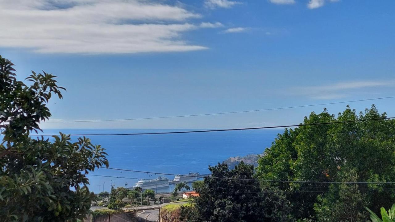 Villa Strelitzia Funchal  Luaran gambar