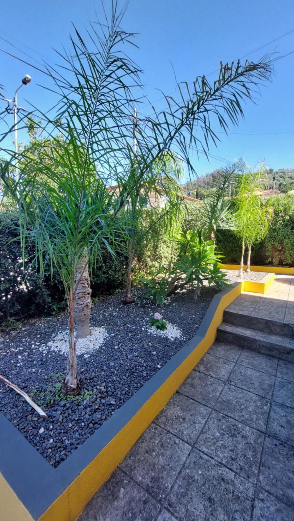 Villa Strelitzia Funchal  Luaran gambar